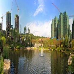 重慶市房地產(chǎn)開(kāi)發(fā)項(xiàng)目詳情查看指南